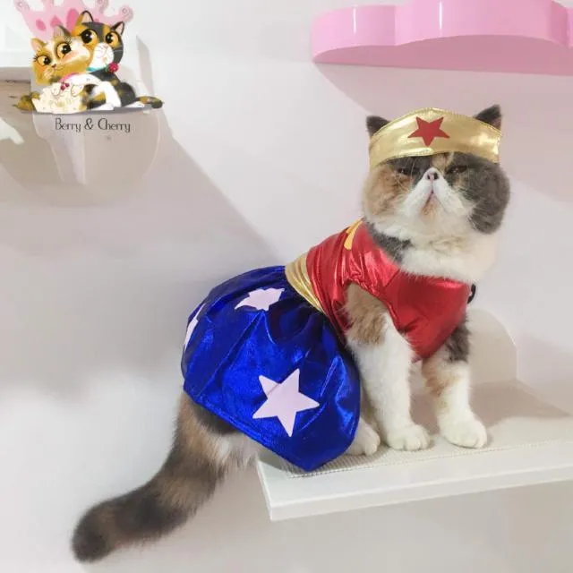 Wonder Woman Costume