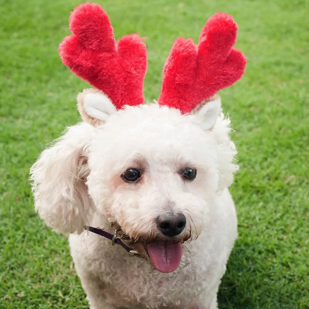 ZippyPaws Holiday Antler Headband